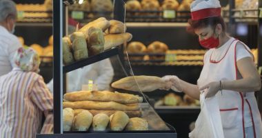 Producţie record de cereale în 2021. Fermierii, nevoiți să vândă grâul la export! - 2