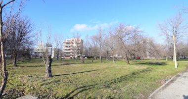 Stire din Social : Măcelul spațiilor verzi își ia tributul! Reguli mai stricte pentru dezvoltatorii imobiliari