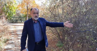 Stire din Social : Sabotaj la Delfinariul din Constanța? Mai multe animale moarte şi camere de supraveghere distruse!