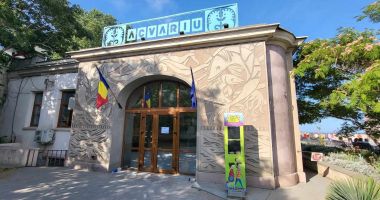 Stire din Social : Acvariul stă cu lacătul pus pe ușă de peste patru luni. Dezamăgire totală în rândul turiștilor