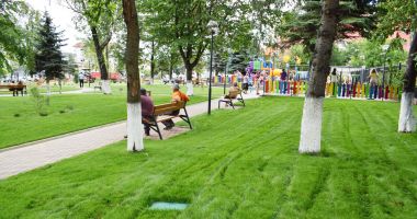 Stire din Social : Au început să reapară covoarele de coji de semințe în spațiile publice! "Atât s-a putut. Asta e educația!"