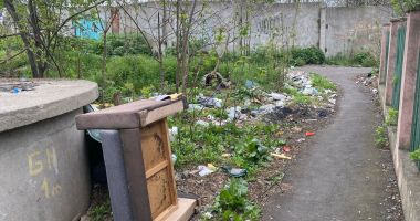 Stire din Social : Jungla Constanței sau ”grădină botanică”? Sălbăticia a pus stăpânire pe zona dintre Poarta 6 și Km 4-5