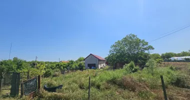 Descoperire șocantă! Cadavre de câini și animale subnutrite ținute în adăpostul groazei din Bărăganu - 6