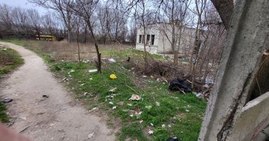 Teroarea șoarecilor din căminele studențești, de la Constanța. Marea deratizare, privită cu scepticism - 2