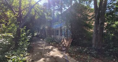 Cititorii sesizează, ”Cuget Liber” consemnează. Secția de Dermatologie, feuda pisicilor din cartier - 2