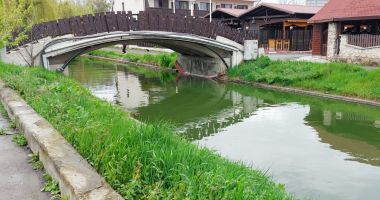 Stire din Social : Satul de Vacanță, străbătut de canalul nimănui. "Nu cred că se așteaptă cineva ca funcționarii publici să facă igienizarea"