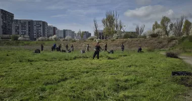 Lecție de civism la Constanța. Voluntarii încearcă să readucă la viață terenul de rugby Badea Cârțan - 2