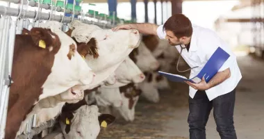 Criză în medicina veterinară rurală! Animalele rămân fără tratament - 3