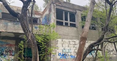 Creșa nr. 6 de pe Aleea Topolog, focar de infecție pentru cetățeni! "Nu mai suportăm!" - 6
