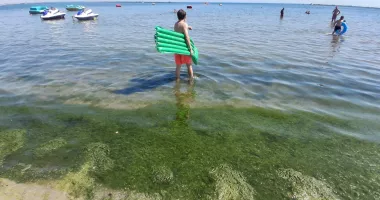 Zona Perla, lovită de mirosul algelor putrezite. „Nu mai putem sta pe plajă“ - 5