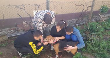 De profesie „părinte” pentru patru copii bolnavi. „Am vrut să fac din cioburi o familie” - 2