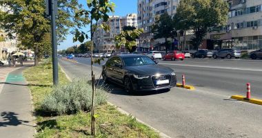 Stire din Eveniment : Tupeu sau nesimțire? Constănțenii transformă benzile de autobuz în scurtături