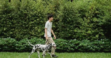 Stire din Sănătate : Mare atenţie la iarbă și căpuşe! Boala Lyme vă paște la orice pas