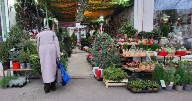 Brazi de lux la Constanța. Prețurile îți taie răsuflarea! - 2