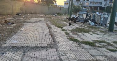 Spaimă în cartierul Energia. "Mi-au înhăţat sacoşa şi au început să latre amenințător" - 4