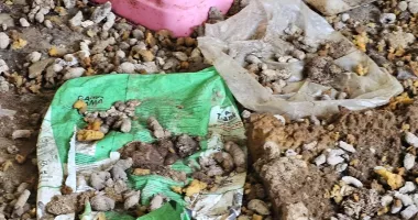 Descoperire șocantă! Cadavre de câini și animale subnutrite ținute în adăpostul groazei din Bărăganu - 4