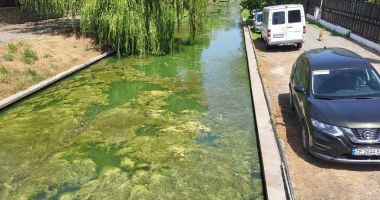 Canalul din Satul de Vacanţă, un adevărat focar de infecţie. „Fiecare aruncă gunoaiele pe unde vrea” - 3