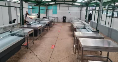 Stire din Social : Criză înainte de Paște! Mielul lipsește din piețele constănțene, iar prețul a explodat la 60 lei/kg