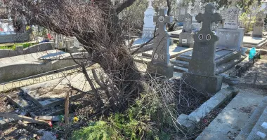 Memoria răposaților, batjocorită! Mii de morminte abandonate în Cimitirul Central din Constanța - 2