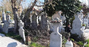 Cimitirele constănţene, pline de câini şi cerşetori! Ce faceţi cu banii colectaţi? - 5