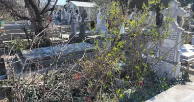 Stire din Social : Memoria răposaților, batjocorită! Mii de morminte abandonate în Cimitirul Central din Constanța