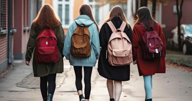Stire din Cultură-Educație : Ne mai mirăm de ce avem abandon şcolar! Încă o clasă desființată, la Liceul din Crucea. Ce fac acum elevii?