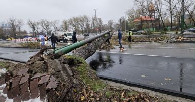Stire din Social : Constanța, paralizată de vremea rea! Codul roșu de viscol și ninsori a pus autoritățile în dificultate!