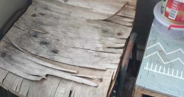 Mizerie de nedescris în căminele studenţeşti din Constanța. Care este reacția rectorilor - 4