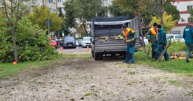 Copacii dispar, dar cu parcarea cum rămâne? Tăierile masive au revoltat locatarii din zona Casei de Cultură - 2