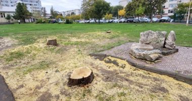 Copacii dispar, dar cu parcarea cum rămâne? Tăierile masive au revoltat locatarii din zona Casei de Cultură - 3
