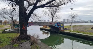 Zeci de copaci din parcul Tăbăcărie, sub drujbă. Oamenii plâng, autoritățile promit - 2