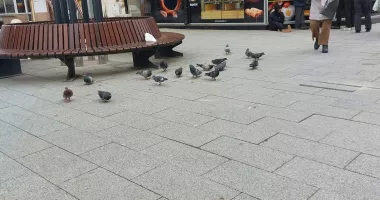 Covrigul, vedeta prânzului, la Constanța. Soluție rapidă sau capcană zilnică? - 3