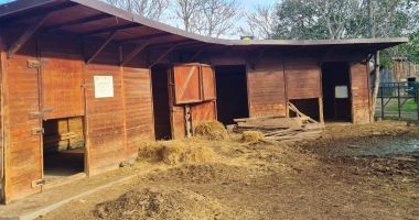 Criză majoră la Microrezervație. Nu se înghesuie nimeni să aibă grijă de animale! - 4
