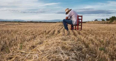 Stire din Economie : Criză în agricultură. Fermierii constănțeni cer soluții rapide și piețe alternative