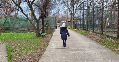 Delfinariul, mai rău ca pe vremea comuniştilor? "Omul nu trebuie să vină și să deplângă soarta animalelor" - 2