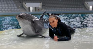 Stire din Social : Baby, vedeta Delfinariului, încântă publicul. "Nu ne lasă să punem mâna pe el"