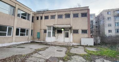 Fosta Secţie Dermatologică de la Abator, în paragină! A devenit casă pentru câini şi pisici! - 2