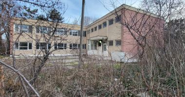Fosta Secţie Dermatologică de la Abator, în paragină! A devenit casă pentru câini şi pisici! - 3