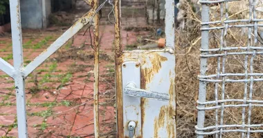 Fostul sediu al Poliției Transporturi Constanța, lăsat în paragină pe strada Mihai Eminescu - 3