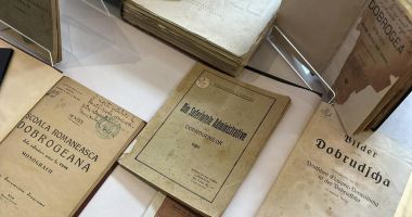 Bibliotecar Doina Moșoiu: "Colecțiile speciale au fost constituite de către oameni dedicați" - 2