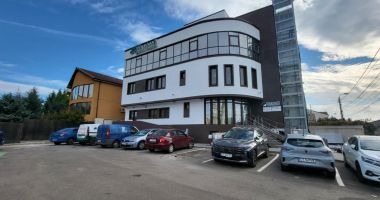 Felina exotică Malinka a impresionat medicii veterinari din Constanța - 2