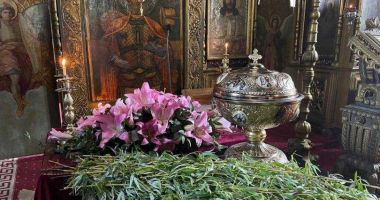 Stire din Cultură-Educație : Ce simbolizează ramurile de salcie și de ce este bine să le aducem în case