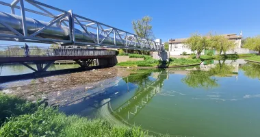 Stire din Social : Miros greu, animale moarte și gunoaie! Canalul din Satul de Vacanță, focar de infecție