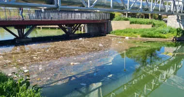Miros greu, animale moarte și gunoaie! Canalul din Satul de Vacanță, focar de infecție - 2