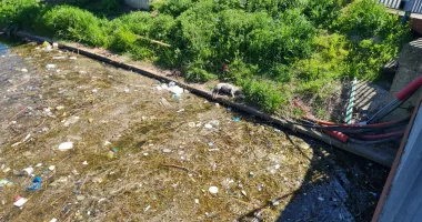 Miros greu, animale moarte și gunoaie! Canalul din Satul de Vacanță, focar de infecție - 3