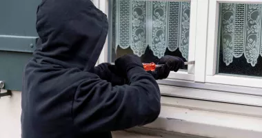 Stire din Eveniment : Furturi dovedite în instanță, dar nepedepsite. Cinici tineri au scăpat de închisoare