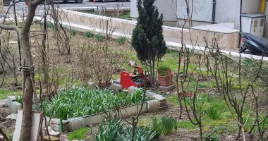 Grădinile blocurilor nu sunt spații de depozitare! Sute de sancțiuni au fost aplicate doar în acest an - 4