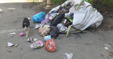 Stire din Social : Câtă lipsă de bun simţ! Unii constănțeni profită și își depozitează deșeurile în sacii muncitorilor de șantier
