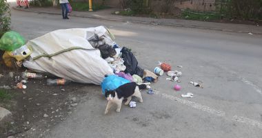Câtă lipsă de bun simţ! Unii constănțeni profită și își depozitează deșeurile în sacii muncitorilor de șantier - 2