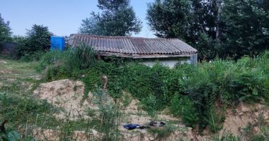 Mormântul Hypogeu a ieşit de sub buruieni după 36 de ani şi va deveni vizitabil - 5